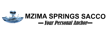 Mzima Springs Sacco